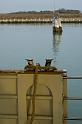 FotoVenezia2007-122