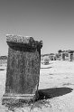 Volubilis (3)