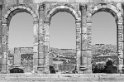 Volubilis (4)