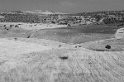 Volubilis (5)
