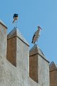 Fez, quartiere ebraico (4)