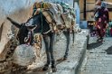 Fez, Medina (10)
