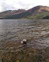 Scozia_2008_1124_1