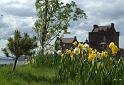 Scozia_2008_1318_1