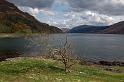 Scozia_2008_1372_1