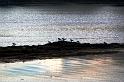 Scozia_2008_1489