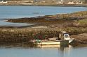 Scozia_2008_1491
