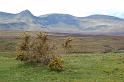 Scozia_2008_1585
