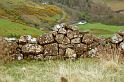 Scozia_2008_1641
