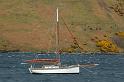Scozia_2008_1698