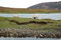 Scozia_2008_1732
