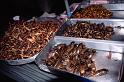 Thai_0151