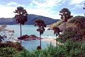 Thai_0198