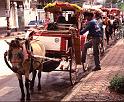 Thai_0038
