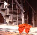 Thai_0044