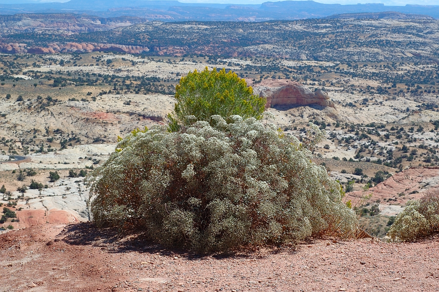 Utah_015.jpg - Route 12 - Grand Staircase-Escalante National Monument