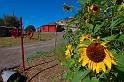 Utah_005