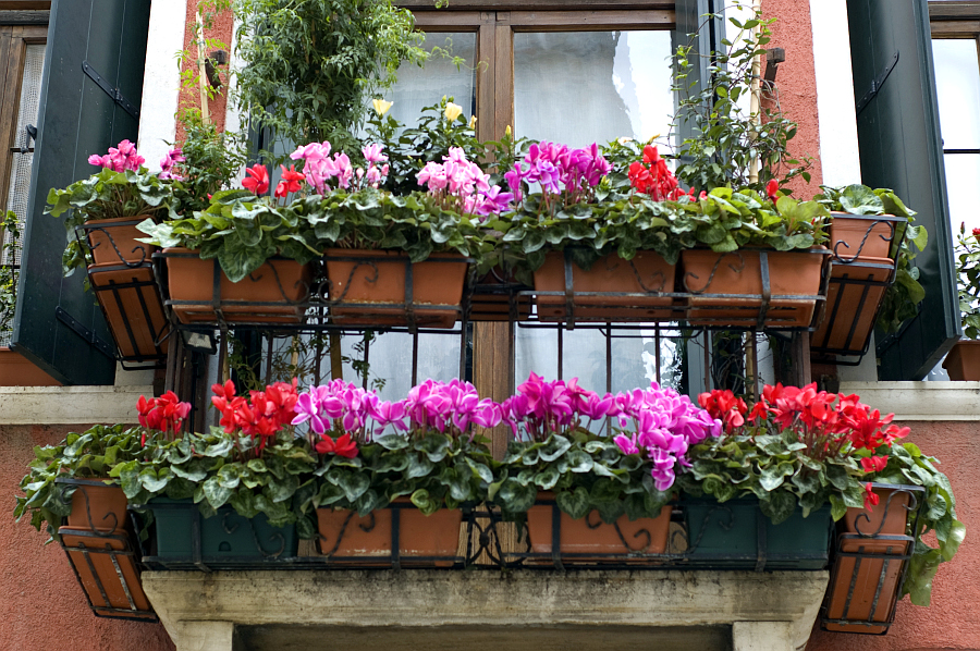 FotoVenezia2007-4.jpg
